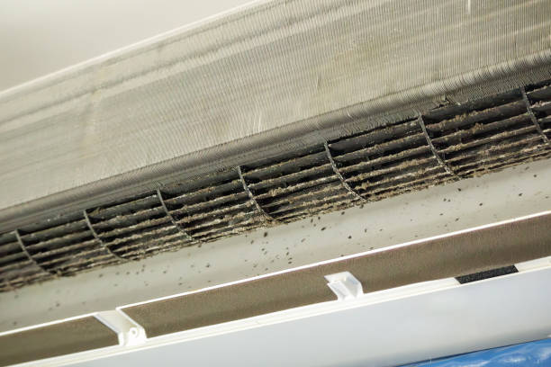 Best Home Air Vent Cleaning  in Ramapo College Of New Jersey, NJ